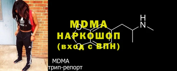 молекула духа Богданович