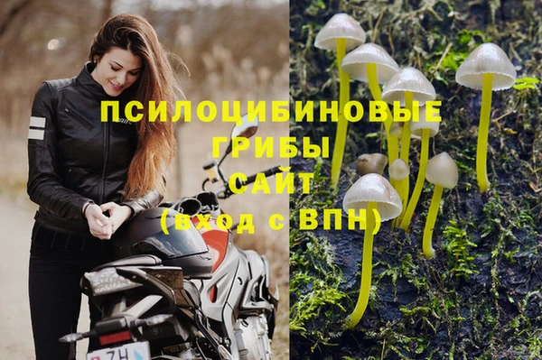 MESCALINE Магадан