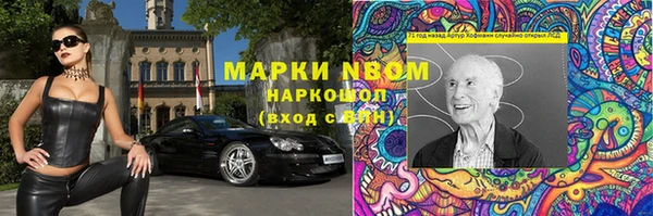 трава Сясьстрой