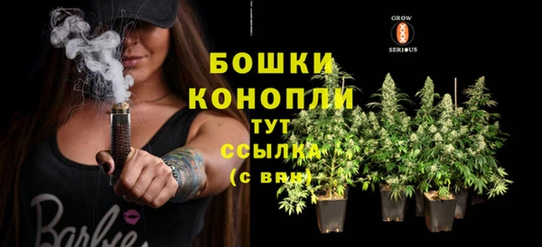 твердый Майский